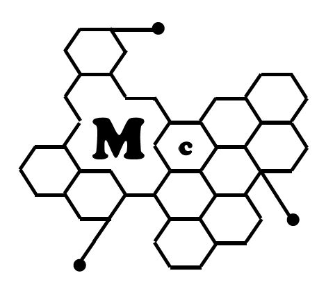 METACRYSTAL SA